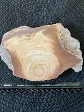 Bruneau Jasper Rough End Cut 7.6 Ounces Insane Amount of Orbing- Extremely Rare