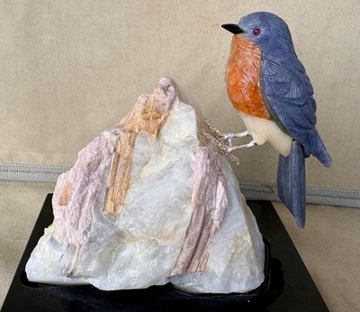 Bluebird  on Tourmaline in Quartz  5  3/4'' -Peter Muller