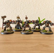 Warhammer 40k Grey Knights - Painted Paladin Terminators - Item 418-15