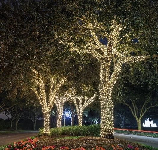 Cadena de luces LED solares 72 pies blanco cálido 8 modos encendido/apagado automático decoraciones navideñas Foto 3 de 4