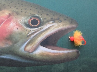 Steelhead / Trout / Salmon Egg Fly - #8 Hook - 6 pcs (Fl. Orange) with Egg Oil