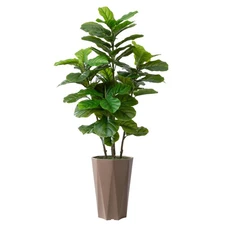 Artificial Fiddle Leaf Fig Plant Indoor 5FT Faux Fig Tree with Mocha Diamond ...