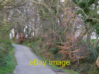 Foto 6x4 von Bäumen gesäumte Landstraße Caernarfon Blick auf ein von Bäumen gesäumtes Land c2006