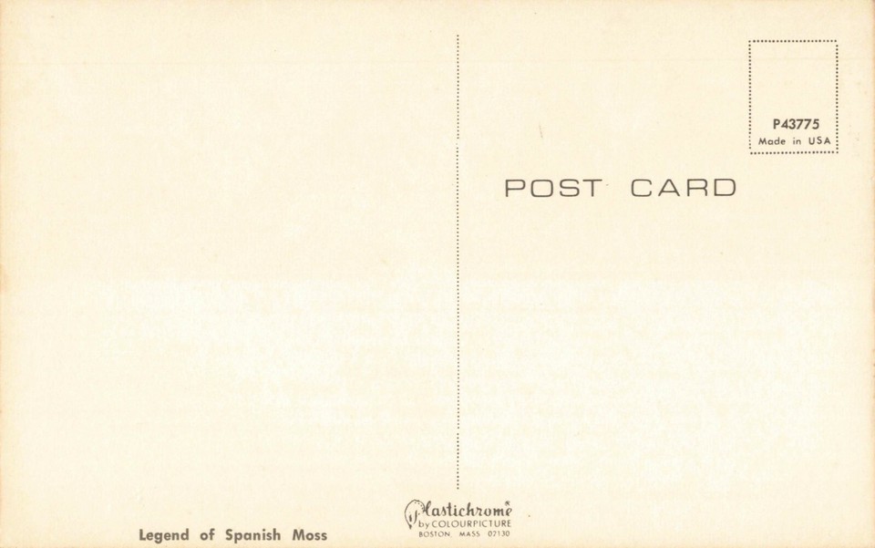 Postcard Legend of the Spanish Moss eBay