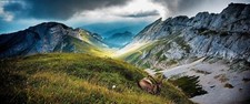 Landscape nature mountains animals mammals Custom Gaming Mat Desk