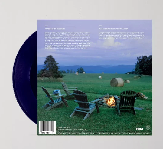 Lizzy McAlpine - Spring Into Summer / Pushing It Down UO 7" Single PRESALE Foto 2 de 2