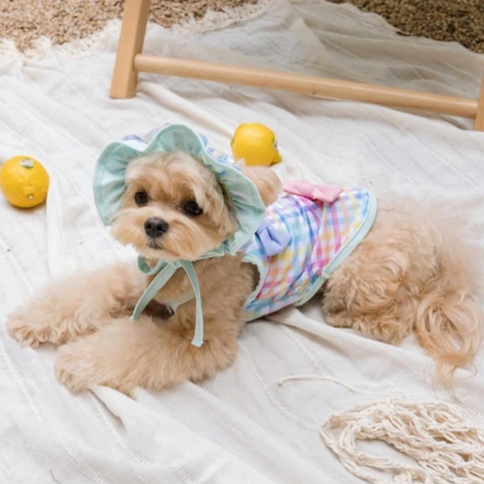 狗宠物衣服户外穿衬衫五颜六色的泳装蝴蝶结装饰浴衣 — 第 4/4 张图片