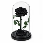Real Preserved Black Rose in Glass Dome Eternal Flower Gift for Her 20cm