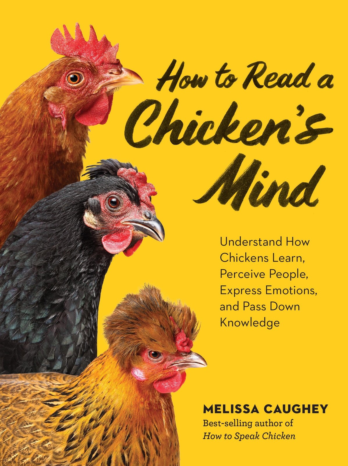 How to Read a Chicken's Mind: Understand How Ch. Caughey, Caughey,.#+,.# - Image 6