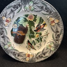 VTG BIRDS OF AMERICA AUDUBON PLATE Baltimore ...