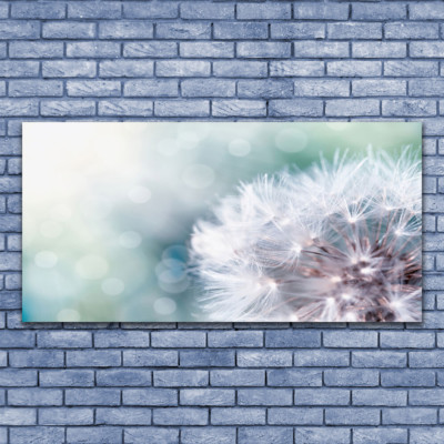 Tableau sur Plexiglas® Image Impression 100x50 Floral Pissenlit