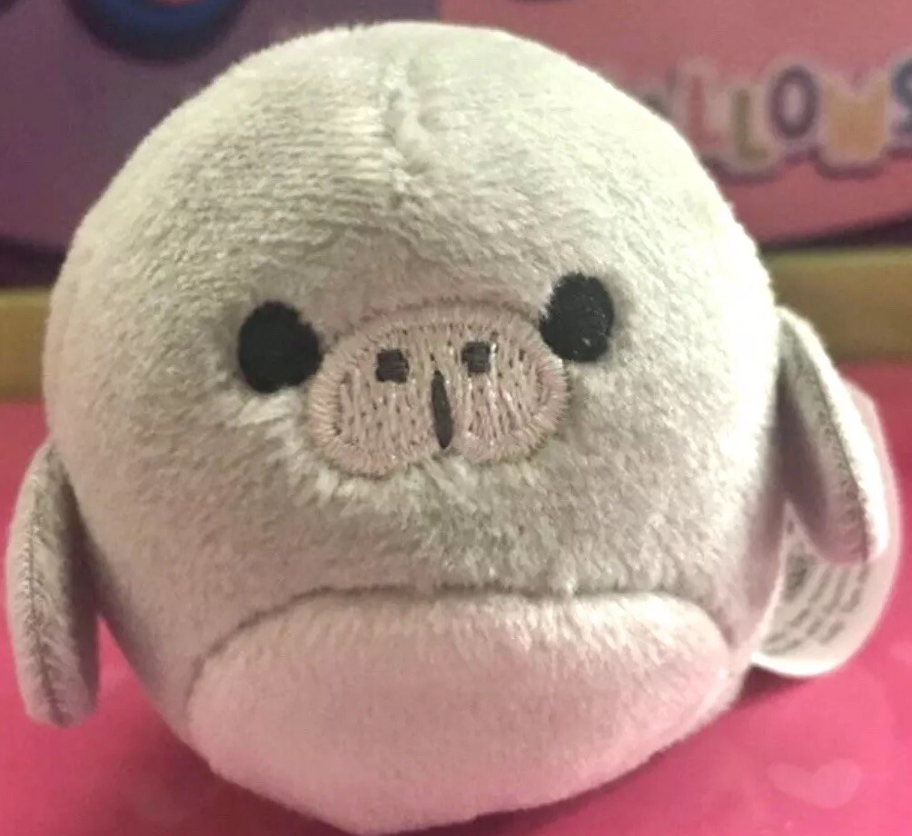 Squishmallow Matt The Manatee Plush - 8 Inch Super Soft Sea Life Squad Stuffed Animal