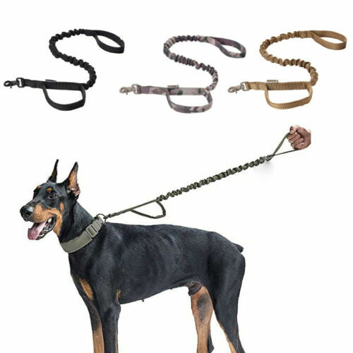 police dog training on ropes