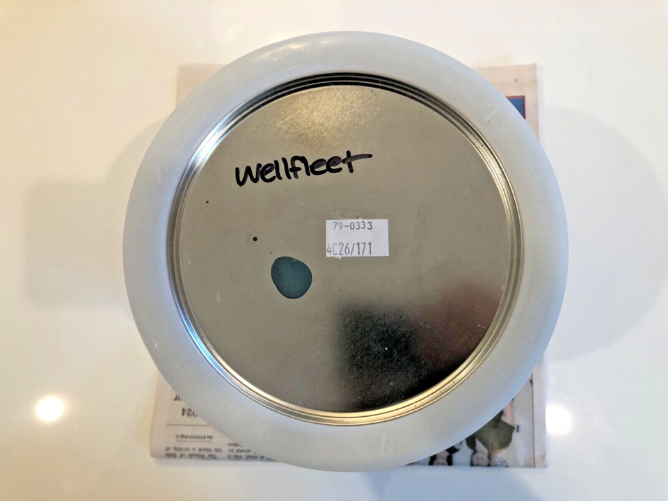 Portola Paint Limewash interior/exterior Wellfleet Nautical blue 3qt