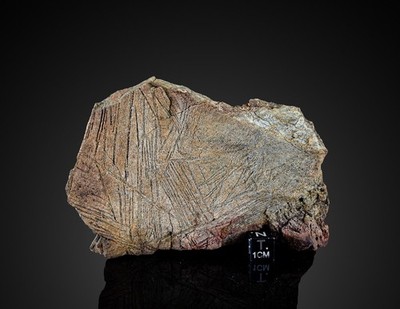 Komatiite Ultramafic mantle derived volcanic rock Spinifex texture Barberton S.A