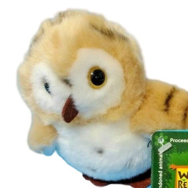 Wild 2024 republic owl