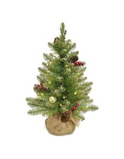 2ft. Pre-Lit Glittery Fir Artificial Christmas Tree Warm White LED Lights NIB