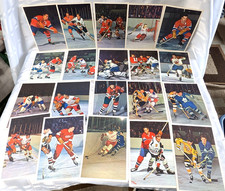 1963 - 1964 TORONTO SUN STARS IN ACTION SET OF 42 PLAYER INFO PHOTO CARDS HOCKEY