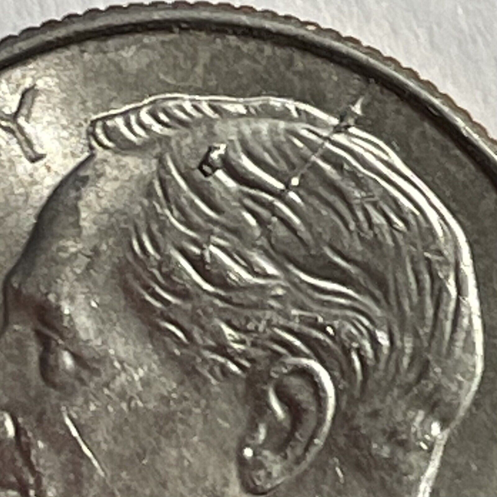 Picture 2 of 7