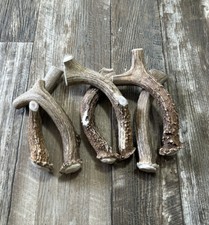 6 Pack Deer Antler Dog Chew. Large Premium Antler Chews From Montana 