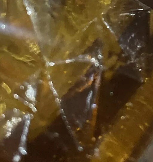 Picture 12 of 14