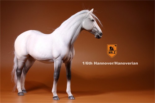 Mr.Z 1/6 Alemania Hannover Caballo Animal Modelo Colección Decoración Figura Regalo - Imagen 34 de 39