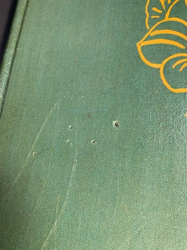 The Book of Insect Oddities Hardcover 1938 Illustrated Natural History HTF - Picture 2 of 21