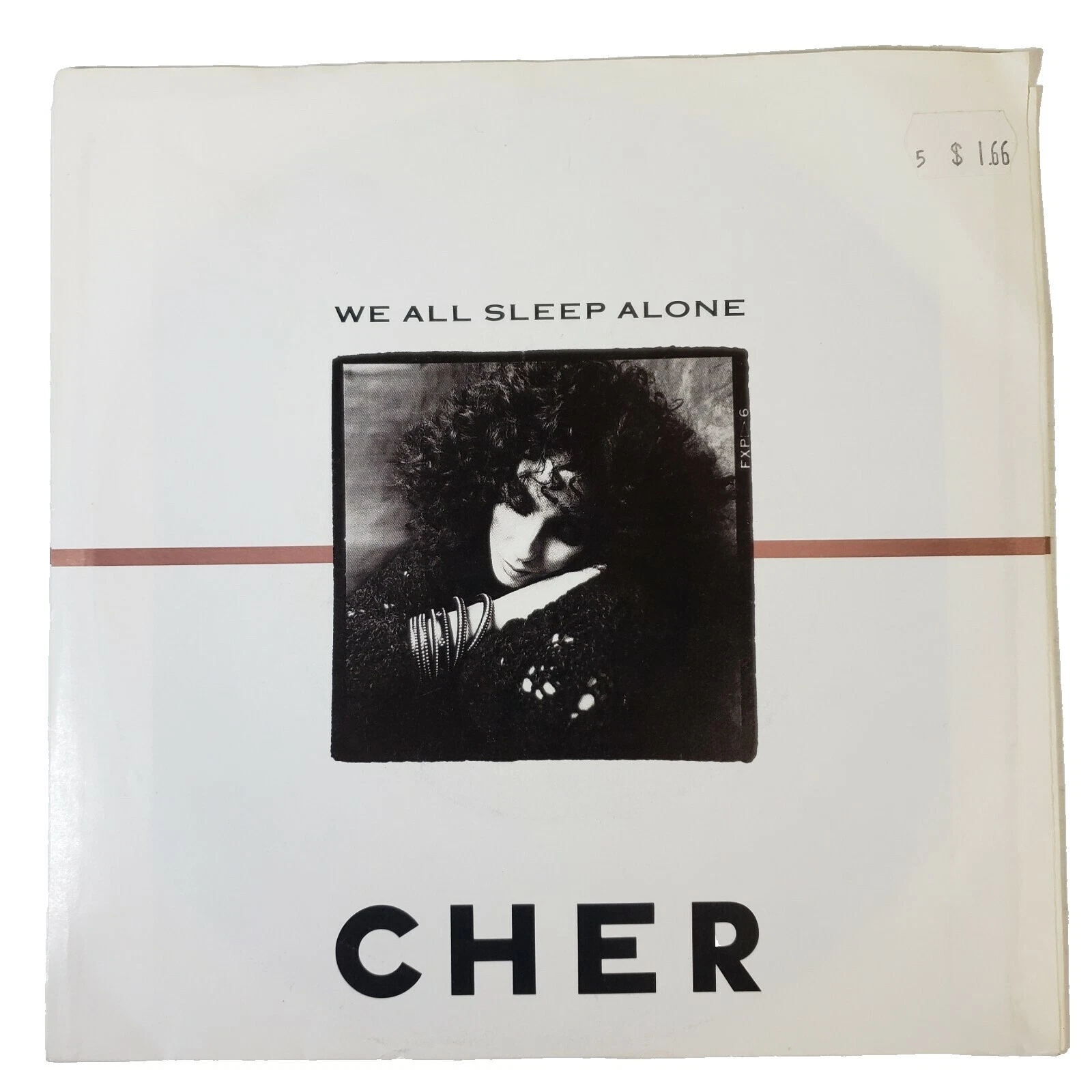 Discos de vinilo single Cher