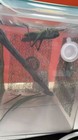 Bild 7 von 12