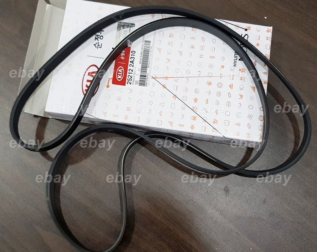 OEM 5PK1811 V-Ribbed Belt Hyundai i20 2008+ KIA Venga 2010+