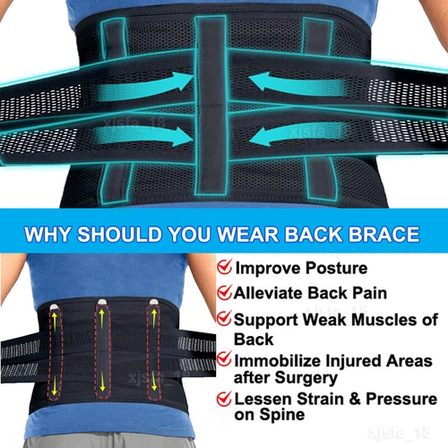 Back Brace Support Belt Breathable Double Pull Support Lumbar Lower Back Support - Picture 6 of 37