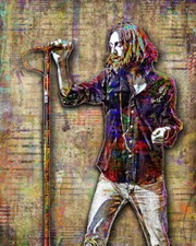 CHRIS ROBINSON OF THE BLACK CROWES 8x10in Poster, Black Crowes Free Shipping US