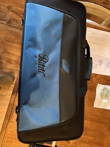 Partition Alto Saxophone Case Durable Case With Backpack Straps