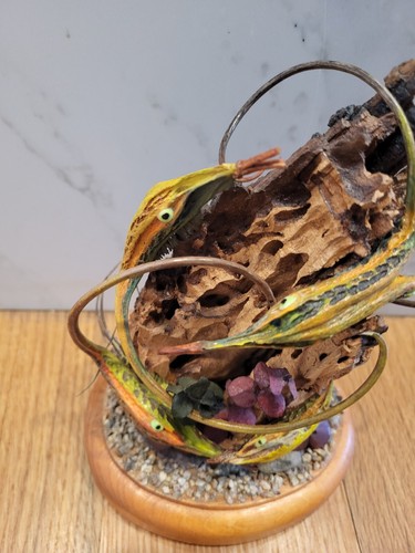 Klaus Gerischer Colorful Tropical Fish Driftwood Painted Seed Pod Sculpture - Picture 8 of 10