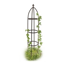 Climbing Aid Obelisk Metal Climbing Plant Support Garden Climbing Column Modern 2.4kg