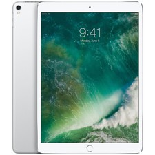 Apple Ipad Pro 1st Gen 64gb Wi Fi 4g Verizon 10 5 In Silver For Sale Online Ebay