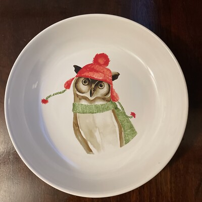 222 Fifth Winter Cheer 2  Shallow Serving Bowl Owl  Christmas Holiday, Adorable