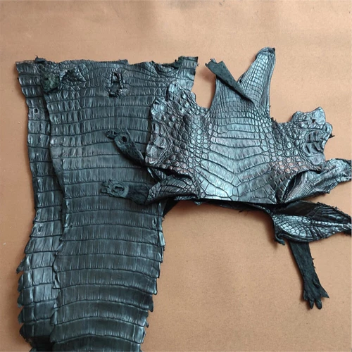 Real Crocodile Skin Hide Alligator Leather Exotic Pelt Craft DIY Material Strap - Picture 2 of 17