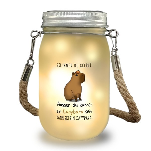 Sei Immer Du Selbst - Ausser Du Kannst Ein Capybara Sein Solarlicht-image