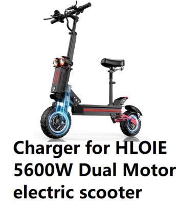 🔥smart 5A fast battery Charger for HLOIE 5600w dual motor