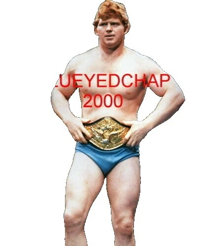 Bob Backlund WWF Wrestling Photos