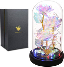 Exquisite Birthday Gifts for Women: Galaxy Artificial Rose, Beauty and the Beast
