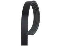 Gates 5PK1005 POLY-V Riemen Gates