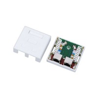 STP Aufputz Steckdose Kat.5E 2Xrj45 Gn004/50Pcs