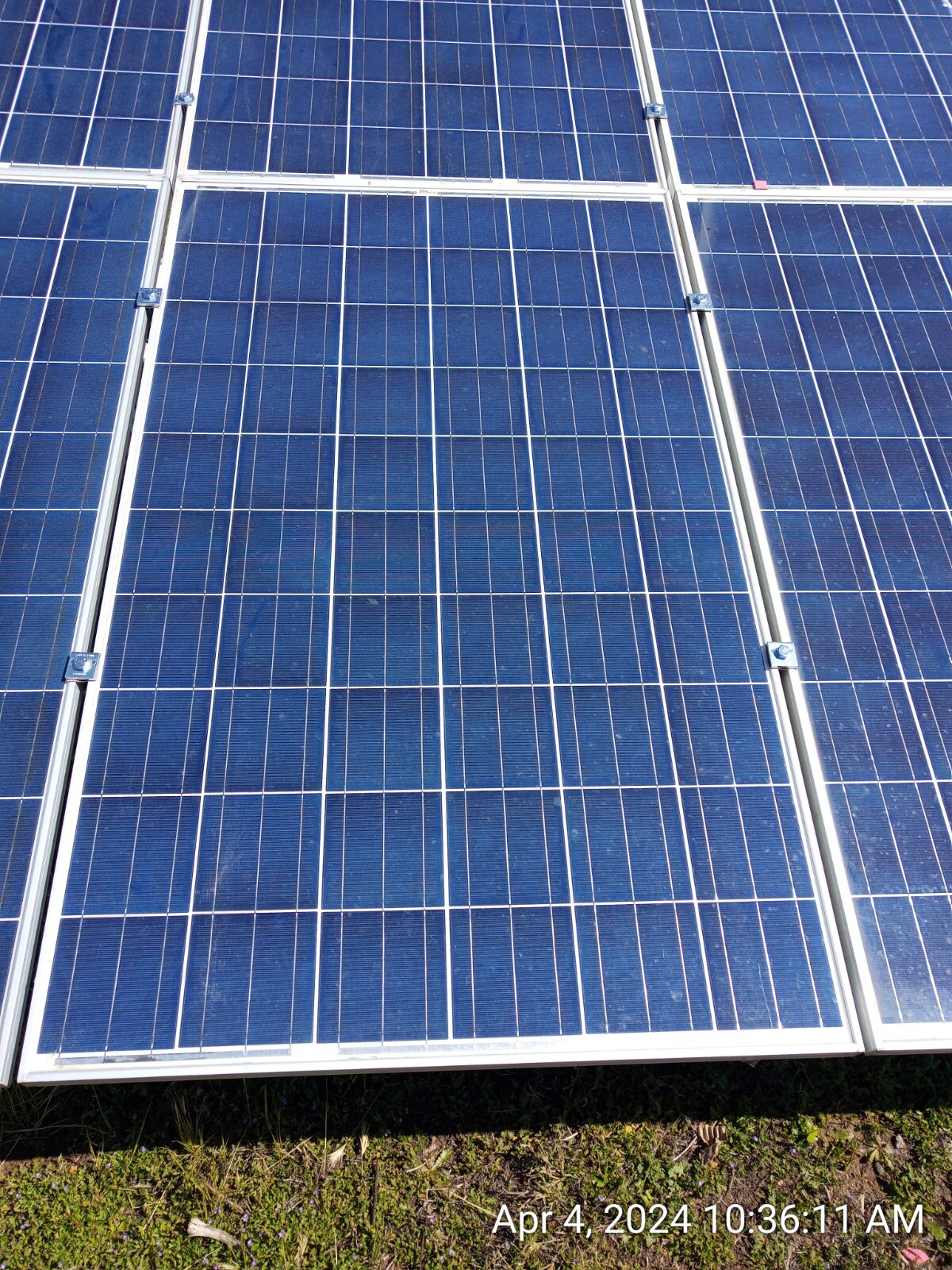Solar Panel Ebay 245 Watt 31 Volt Polycrystalline Solar Panel | eBay