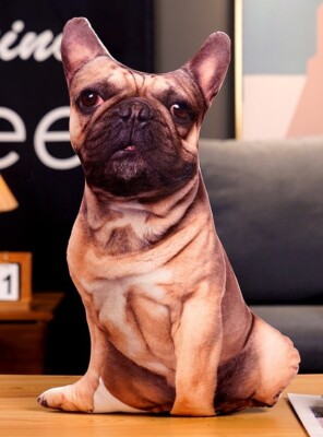 French Bulldog Dog 27