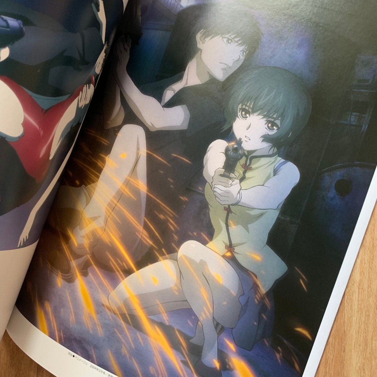 Phantom Requiem for the Phantom Official Complete Guide Book Nitro