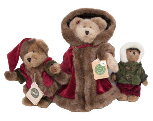 Boyds Bears Mrs Northstar 91730303 - Mr Baybeary 917314 - Bailey 9175610 - Chris - Picture 1 of 5
