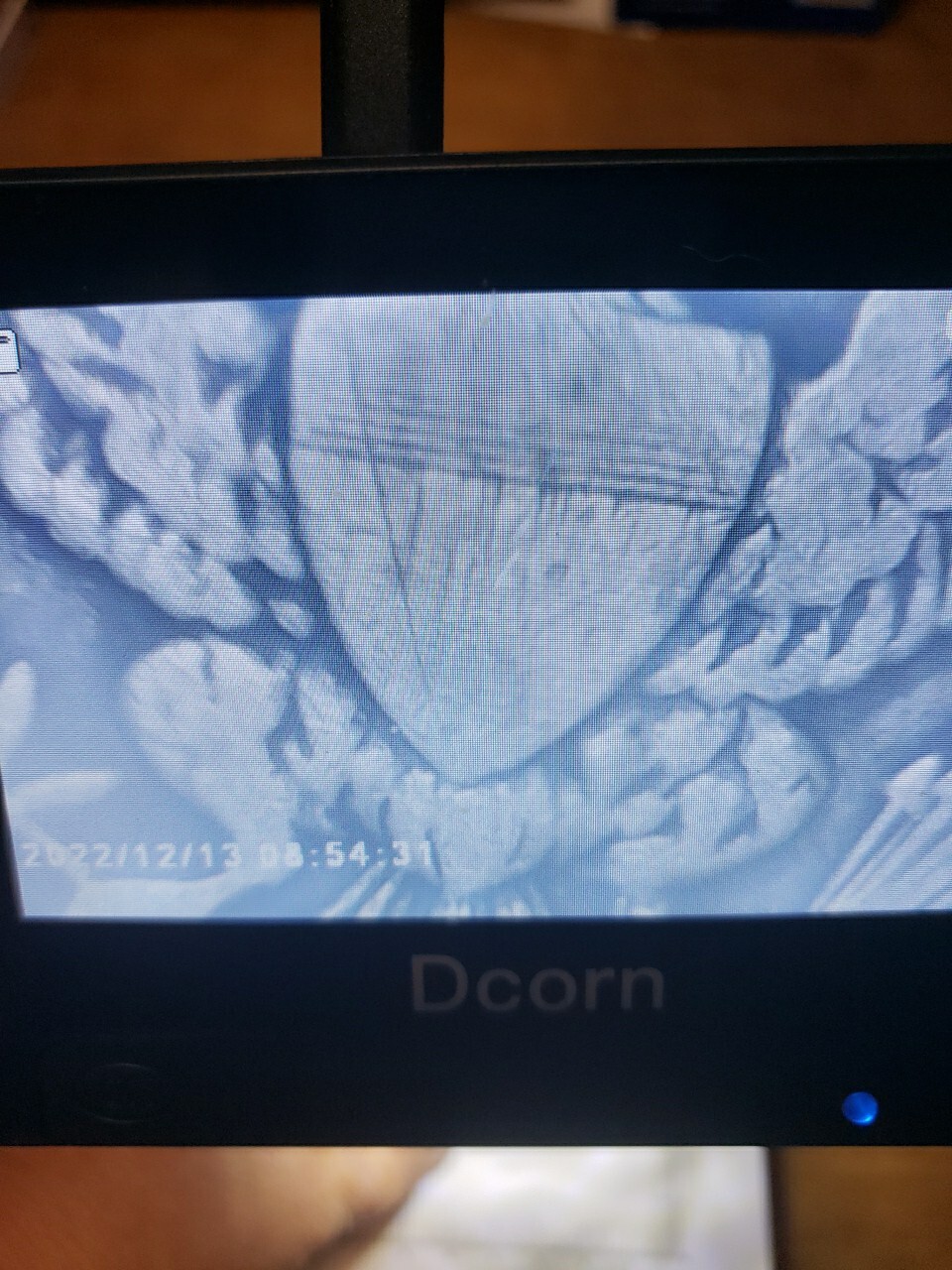 Picture 10 of 13