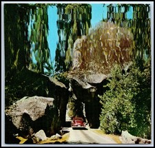 Postcard Yosemite National Park, California   D67